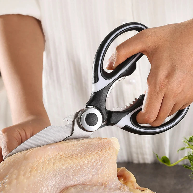 Stainless Steel Scissors