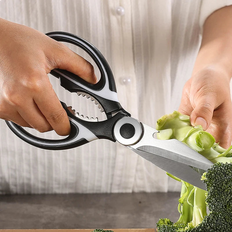 Stainless Steel Scissors